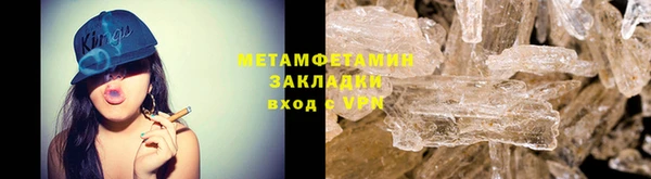 шишки Белокуриха
