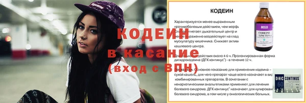 шишки Белокуриха