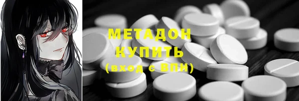 шишки Белокуриха