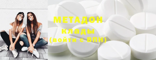 шишки Белокуриха