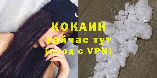 шишки Белокуриха