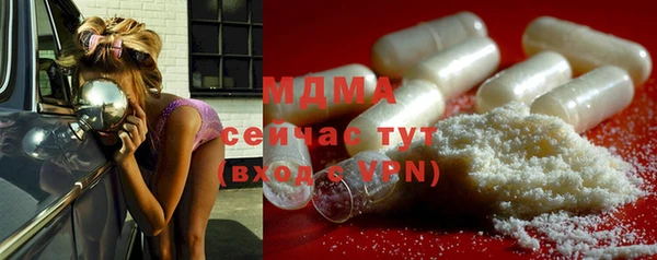шишки Белокуриха