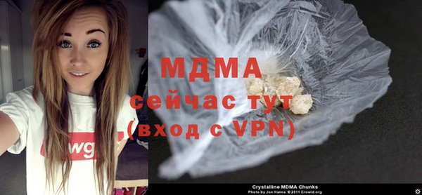 шишки Белокуриха