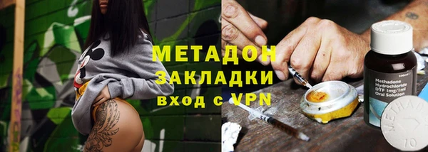 шишки Белокуриха