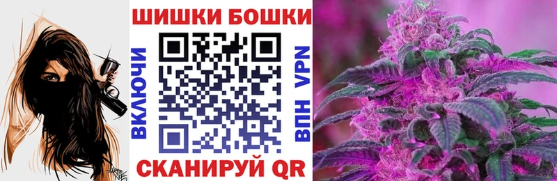 наркота  Солигалич  Бошки марихуана гибрид 